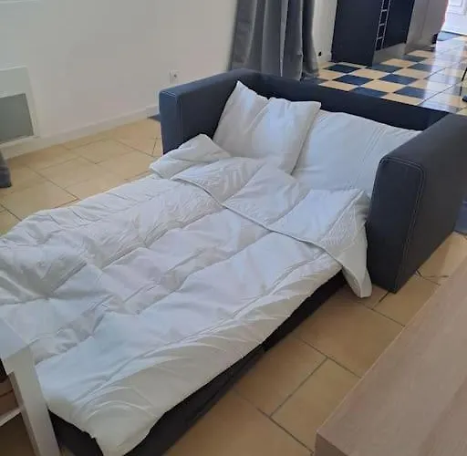 Petite Maison En Bord De Loir 3*